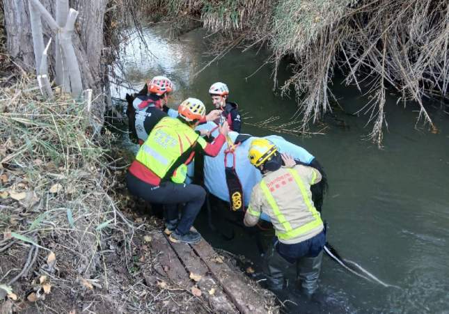 Imatge dels Bombers preparant el cavall per a l'extracció / Bombers Imatge dels Bombers preparant el cavall per a l'extracció / Bombers