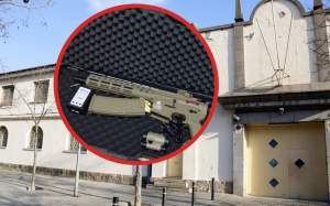 Còpia de Imatge peces Caso (2) (1)