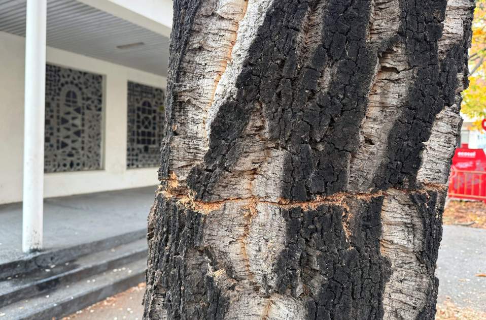 e03c2d81 b033 4294 a778 9158ede57d94 e03c2d81 b033 4294 a778 9158ede57d94