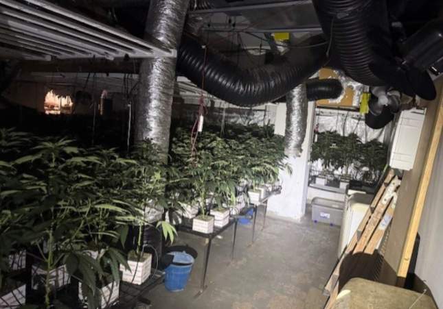 marihuana incendi sant martí (2)