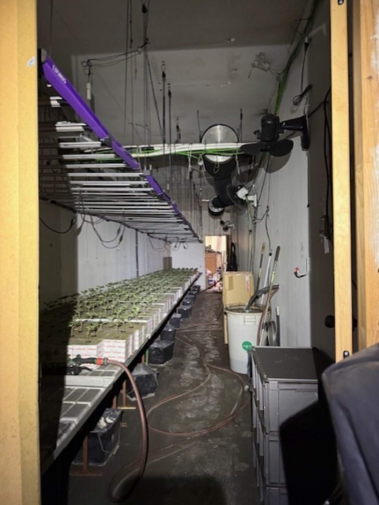 marihuana incendi sant martí marihuana incendi sant martí