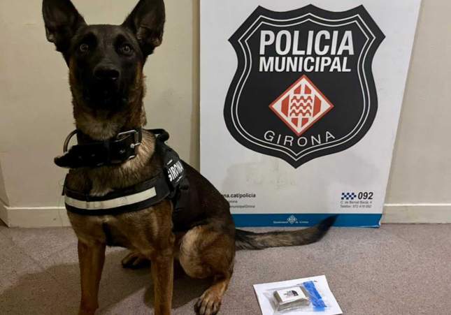 unitat canina girona