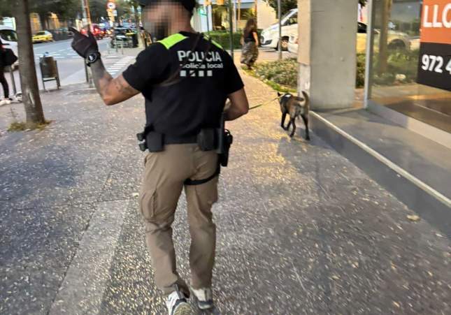 girona unitat canina