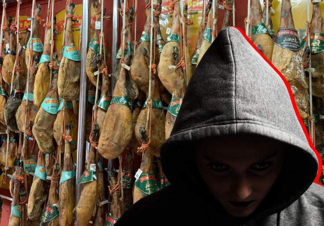 Còpia de Imatge peces Caso (18)