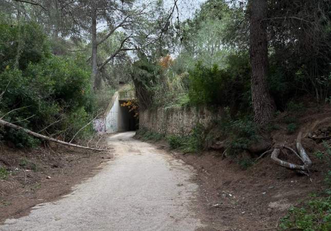 barranc del Gendre, riudecanyes