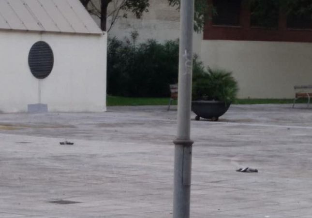 palomas muertas santo andreu palomas muertas santo andreu