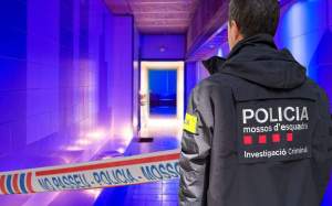 Còpia de Imatge peces Caso (14)