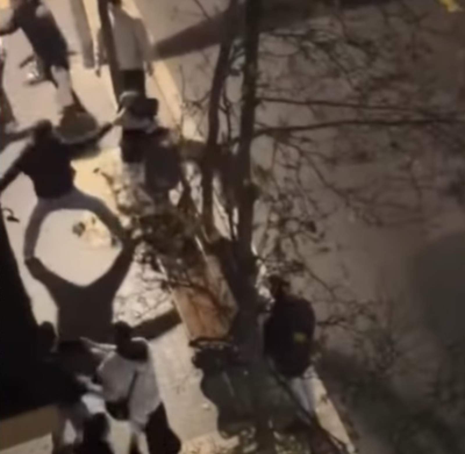 Una pelea tumultuaria en medio de la calle provoca el caos en el centro de Tarragona