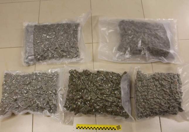 Imatge de la marihuana requisada / Guàrdia Civil