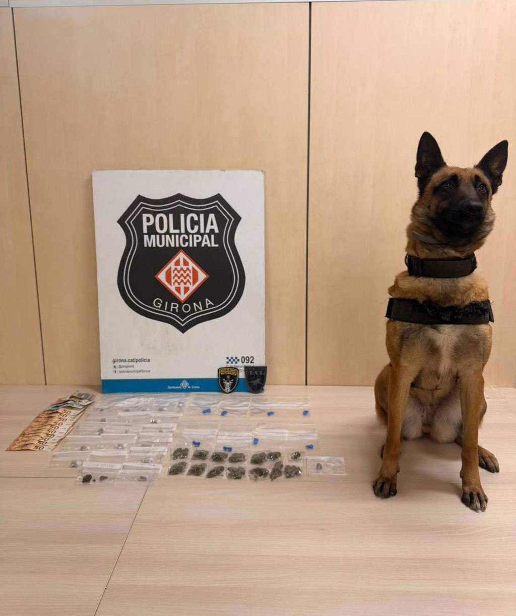gos unitat canina girona droga