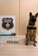 gos unitat canina girona droga