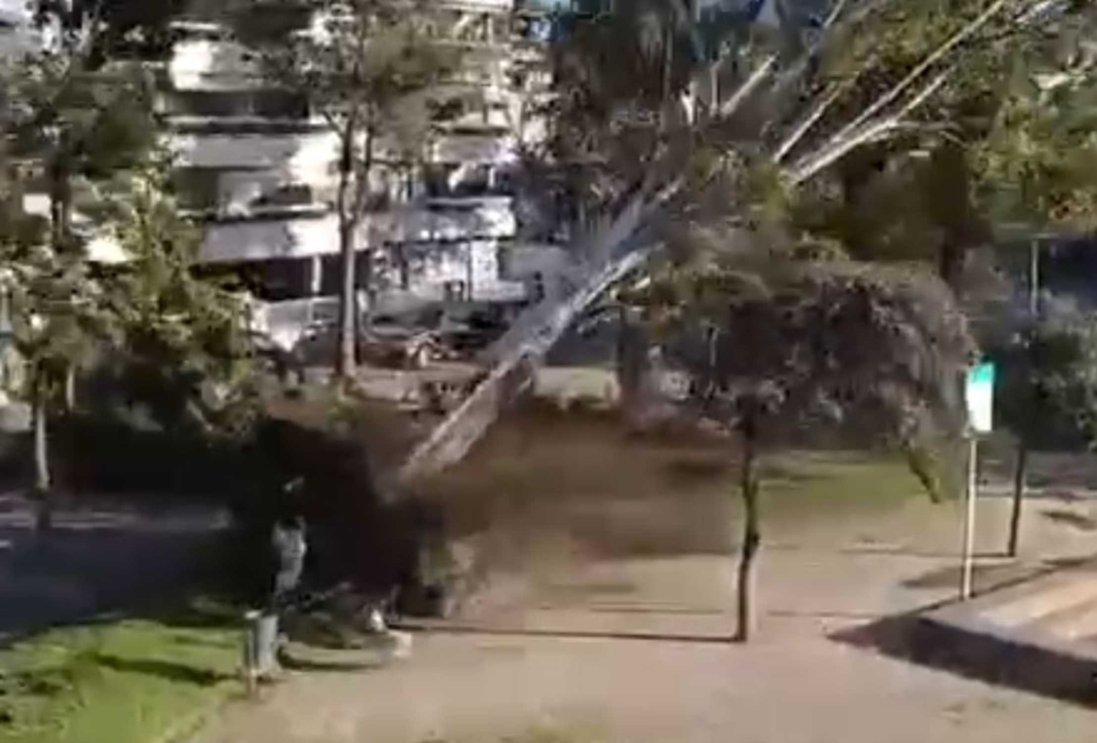 La història rere el vídeo viral de l'arbre de Castelldefels: uns auriculars gairebé li costen la vida al jove