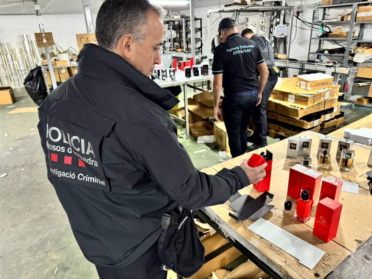 photo 5812023953852141237 y (1)