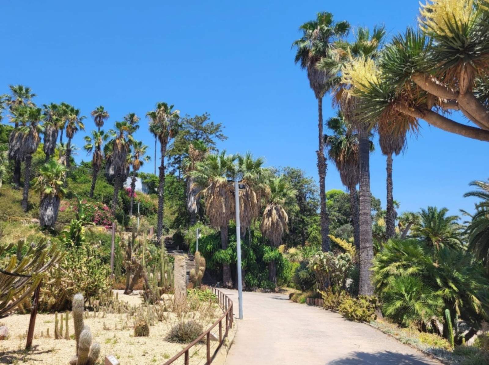 Jardins de Mossèn Costa i Llobera