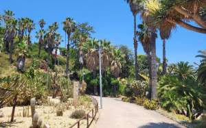 Jardins de Mossèn Costa i Llobera