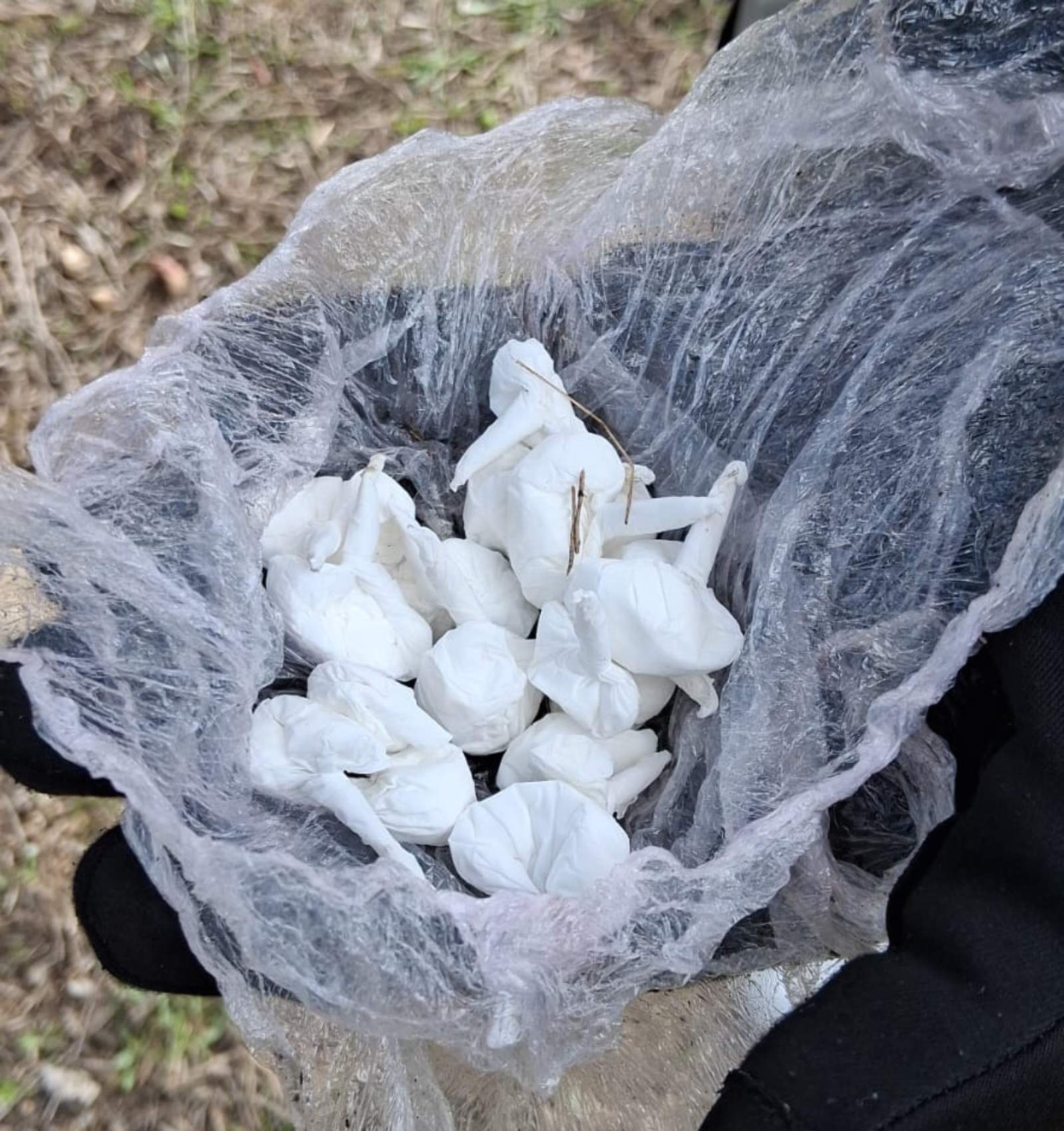 Embolcalls amb droga / Mossos