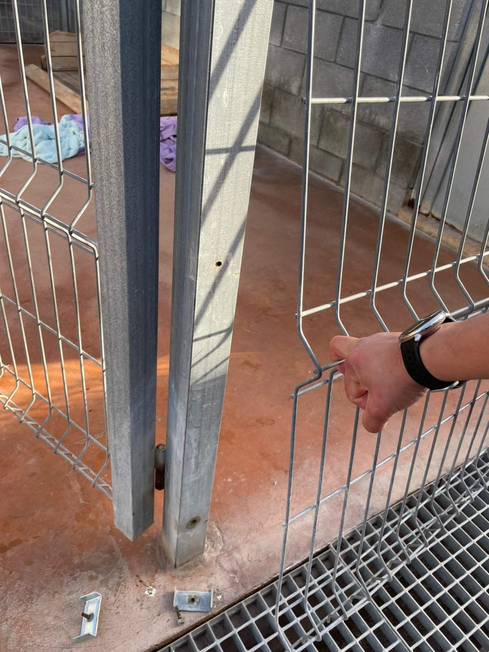 Jaulas donde estaban los perros