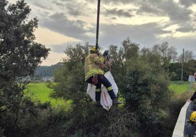 rescat gos bombers rescat gos bombers