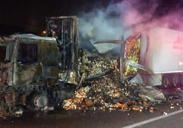 Camió cremat a l'AP 7 / Bombers