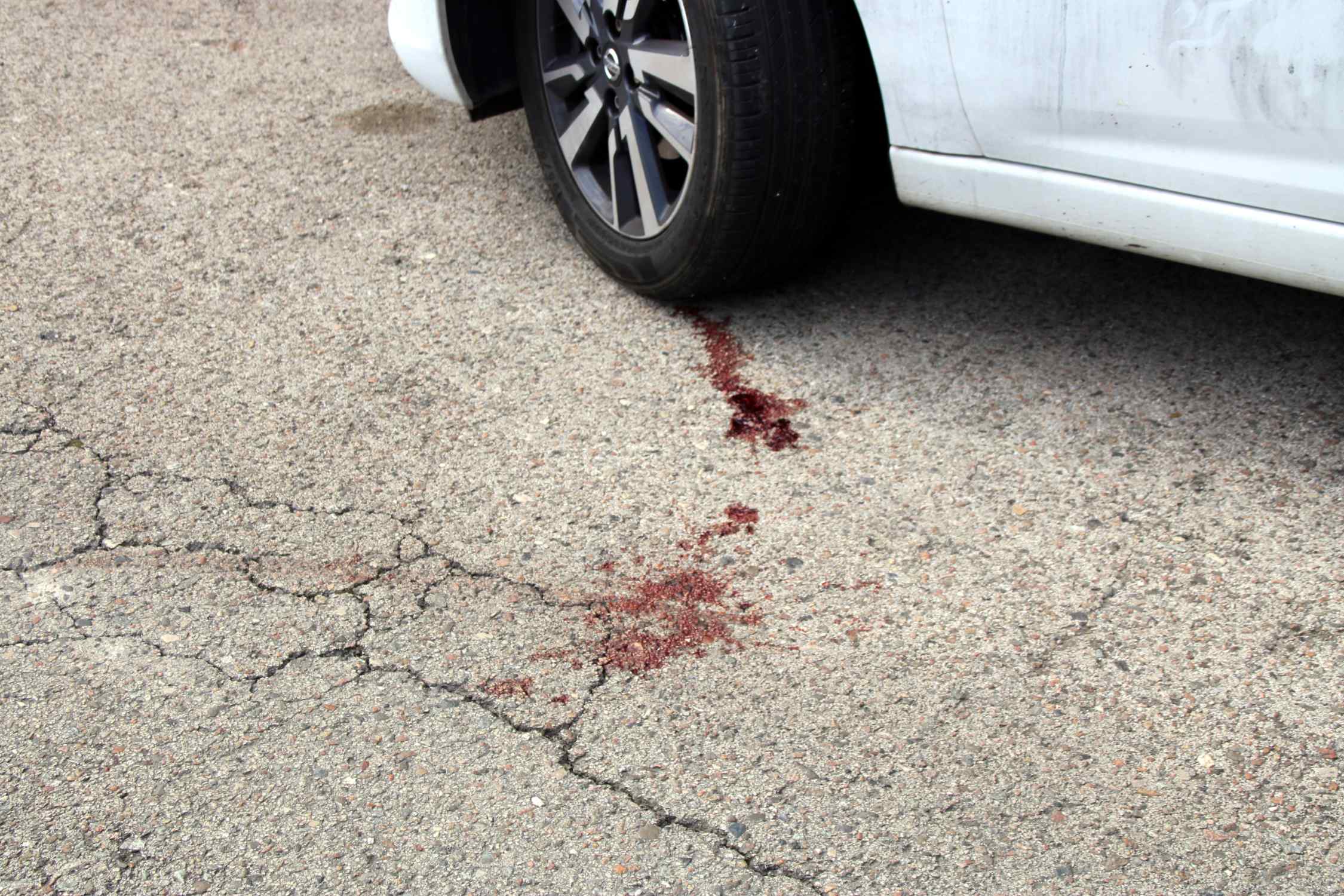 crim olot berta artigas acn 2