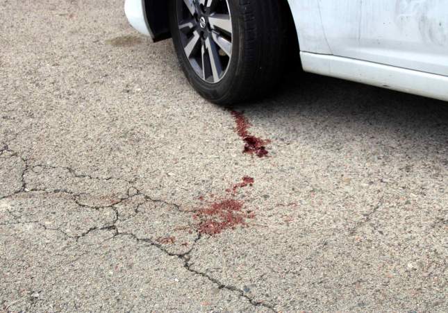 crim olot berta artigas acn 2