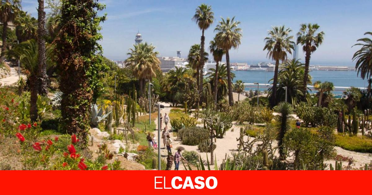 elcaso.elnacional.cat