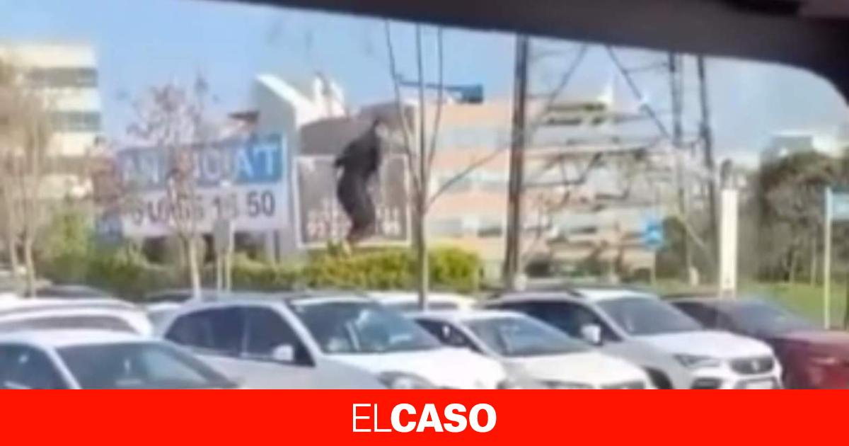 elcaso.elnacional.cat