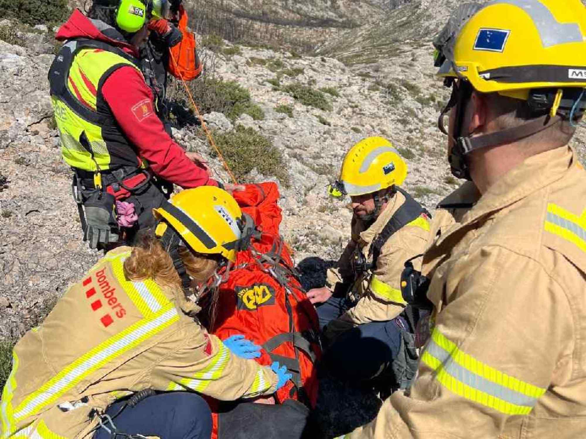 rescat alfara carles