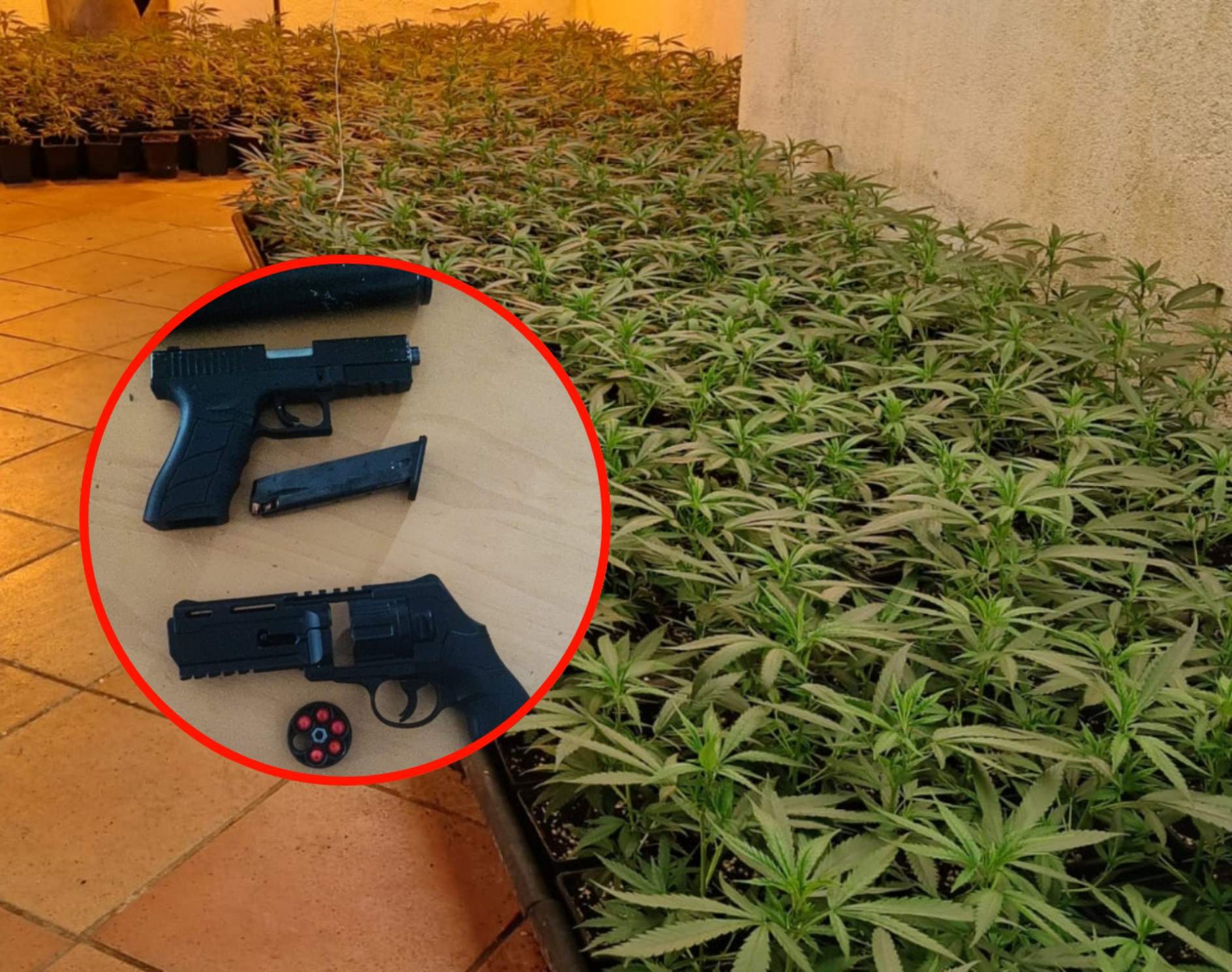 Marihuana lloret de mar pistoles