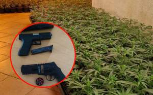 Marihuana lloret de mar pistoles