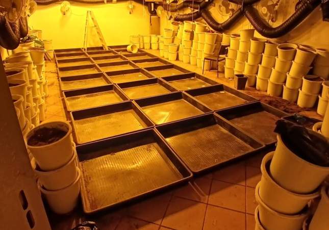 Imatge del material a la plantació / Mossos d'Esquadra