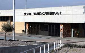 brians 2