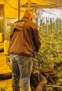 marihuana nau abandonada tortosa