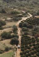crim del ciberamic