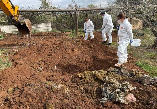 Descobreixen a Constantí les restes de desenes de cabres i ovelles robades a finals del 2024