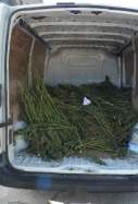furgoneta marihuana taradell