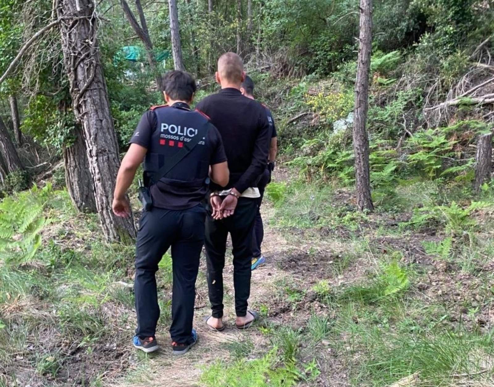 Detenció dels Mossos a un dels membres de l'organització / Mossos