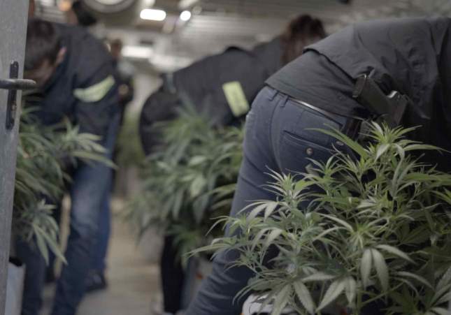marihuana mossos girona