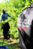mossos hort agricola alba mor lleida