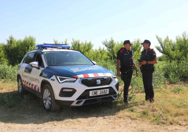 mossos camp agricola alba mor acn