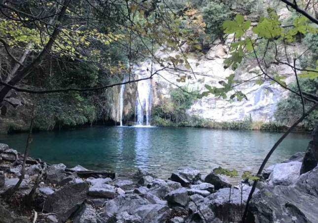 gorg blau sadernes