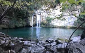 gorg blau sadernes