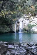 gorg blau sadernes