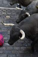 Imatges del cinquè encierro de San Fermín 2026 de Pamplona