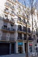 Comte Borrell