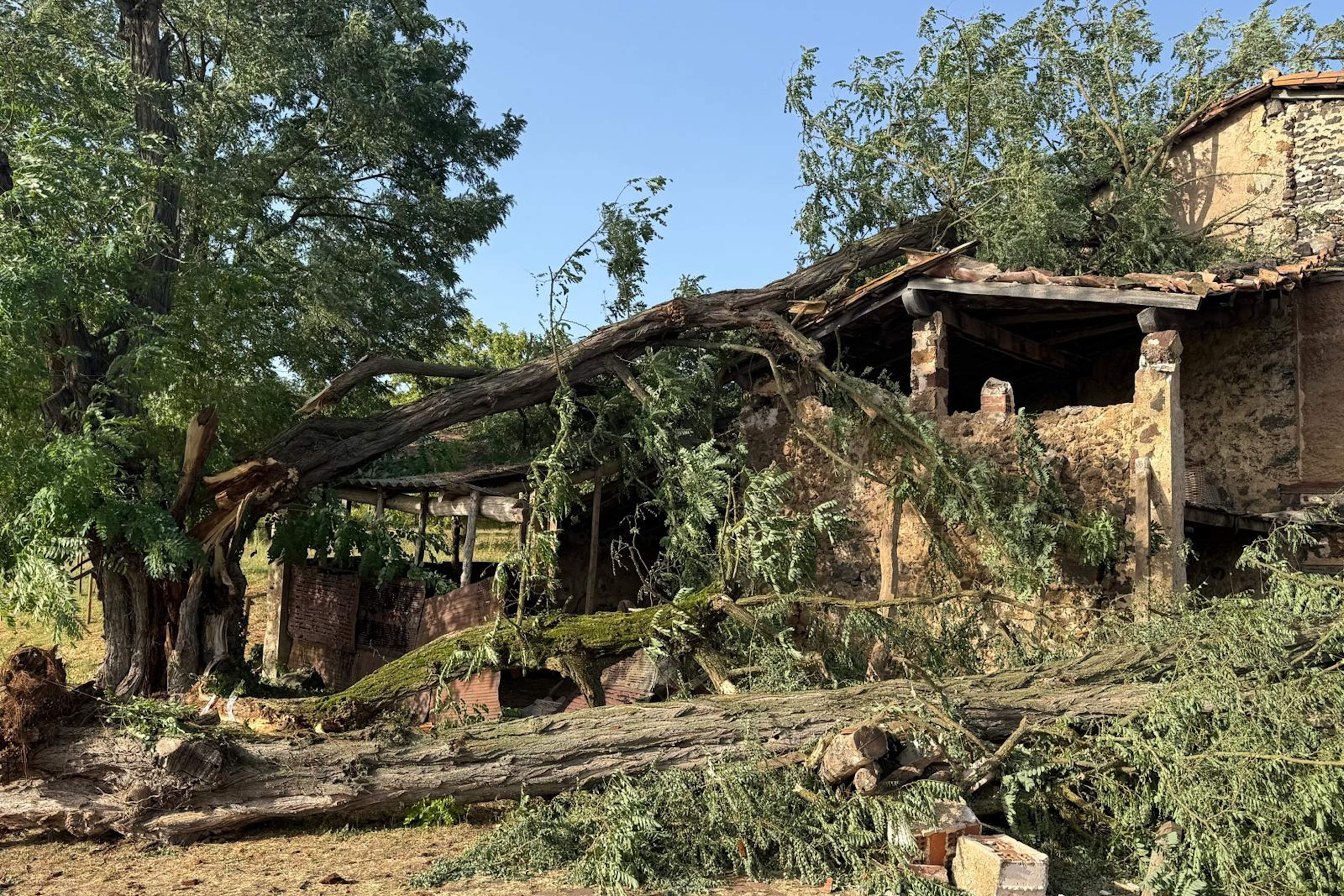 Cau un arbre sobre una masia a Olot / ACN