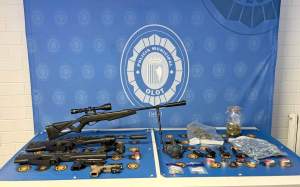 Armes Olot