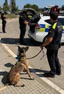 policia local palafrugell gerard vila acn