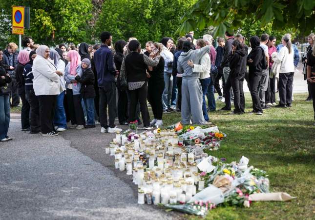 memorial institut suecia Magnus Lejhall efe