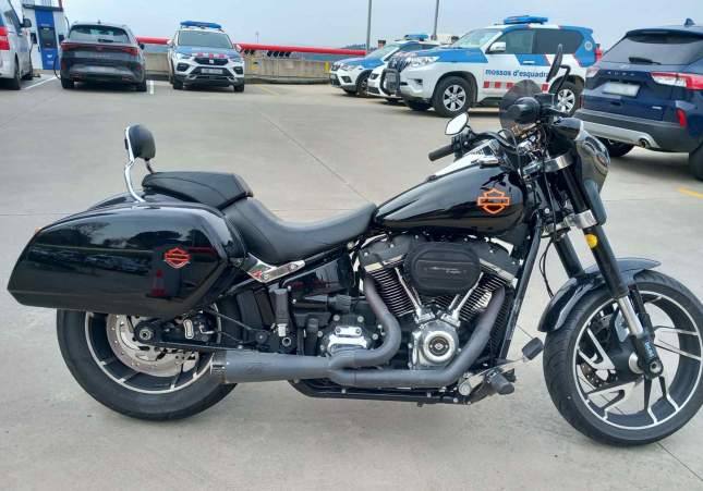 harley